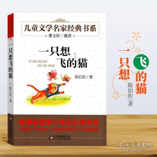 路由器打开却搜不到wifi是怎么回事？